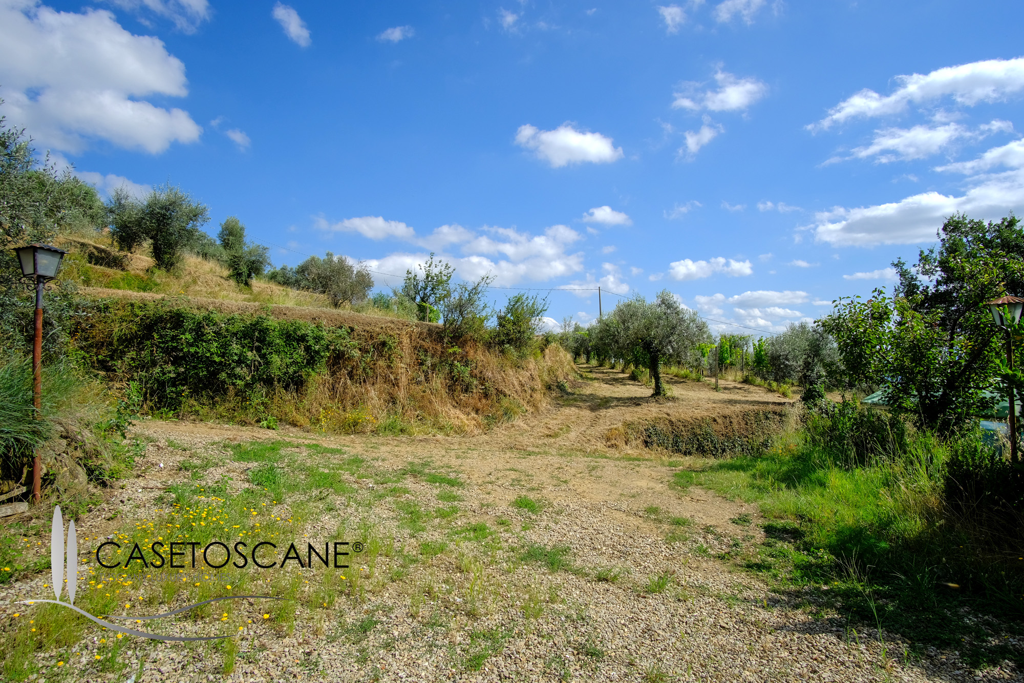 3195 - Agriturismo e azienda agricola nelle colline del Chianti aretino, con casale con 6 appartamenti, piscina e terreno ha.12 con vigneto e 5.000 olivi.