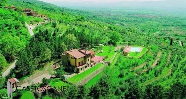 3195 - Agriturismo e azienda agricola nelle colline del Chianti aretino, con casale con 6 appartamenti, piscina e terreno ha.12 con vigneto e 5.000 olivi.